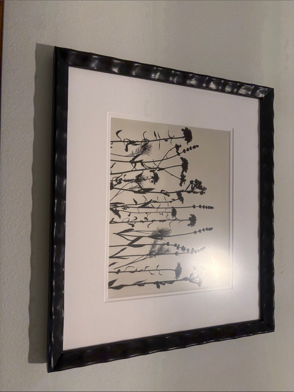 Anthropologie Black and White Botanical Silhouette Print